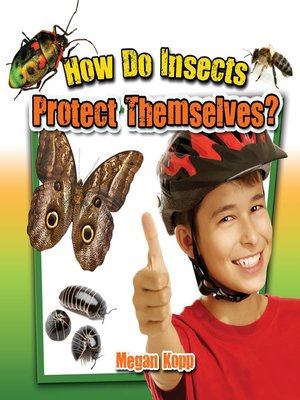 cover image of How Do Insects Protect Themselves?